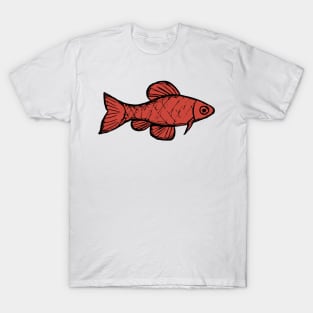 Cherry barb - freshwater aquarium fish T-Shirt